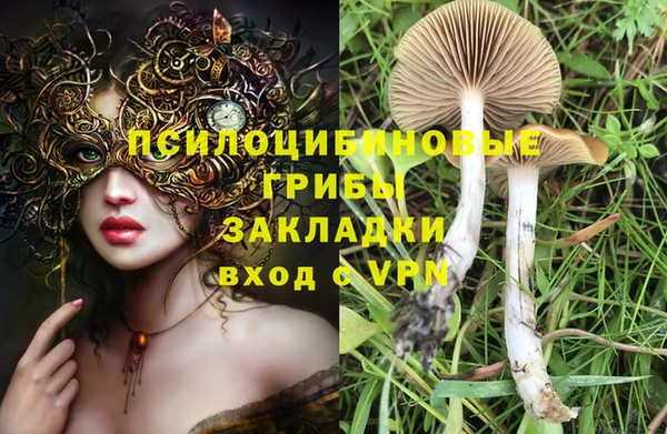 PSILOCYBIN Гусев