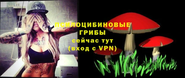 скорость Гусь-Хрустальный