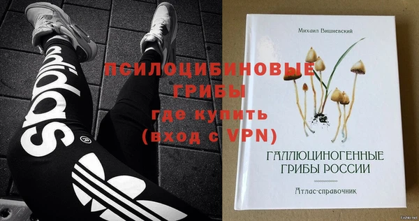 PSILOCYBIN Гусев