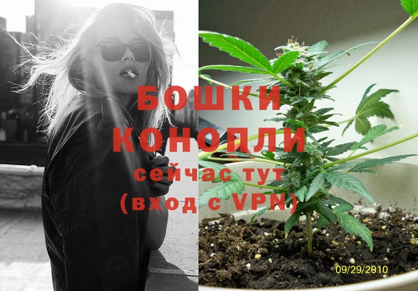 молекула духа Майский